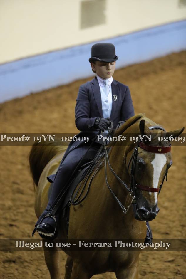 Proof 19YN_02609