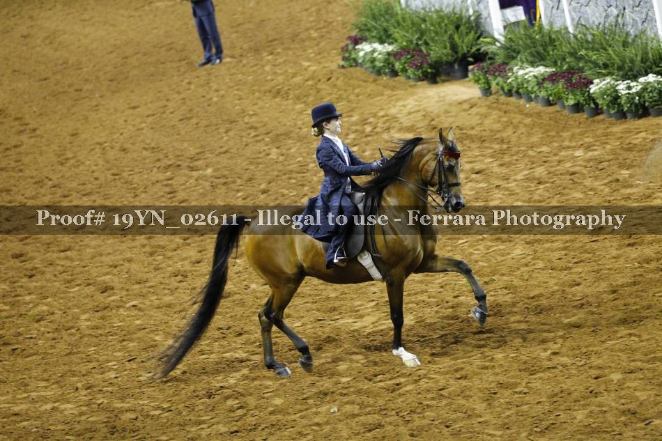 Proof 19YN_02611