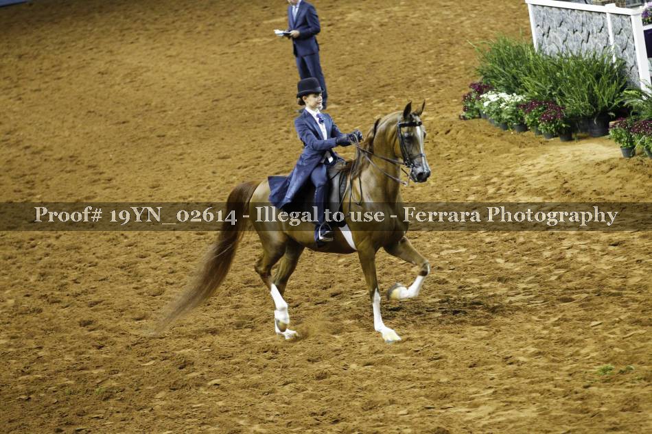 Proof 19YN_02614