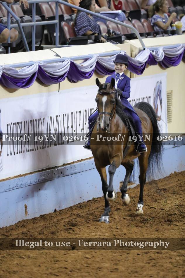 Proof 19YN_02616