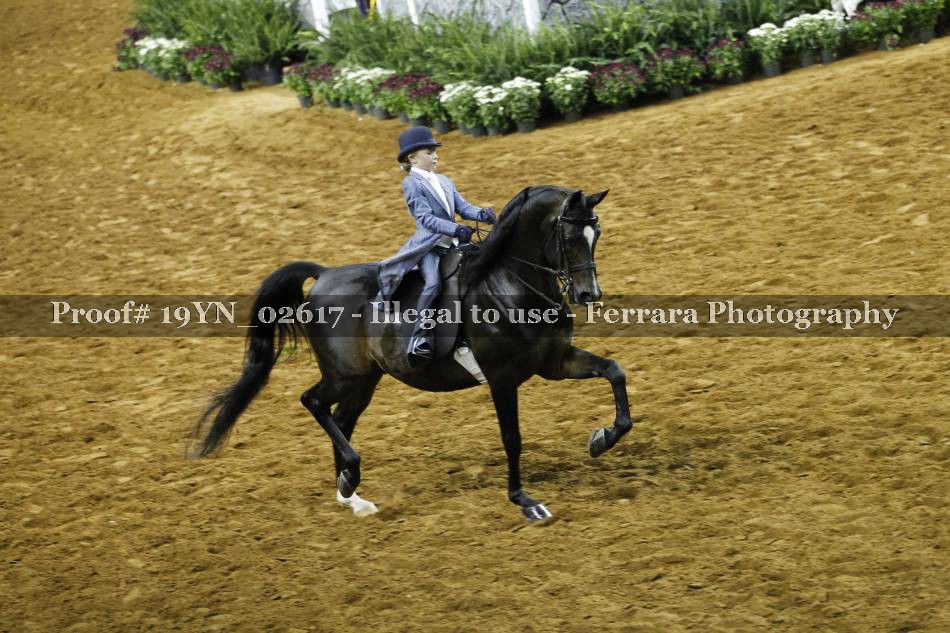 Proof 19YN_02617