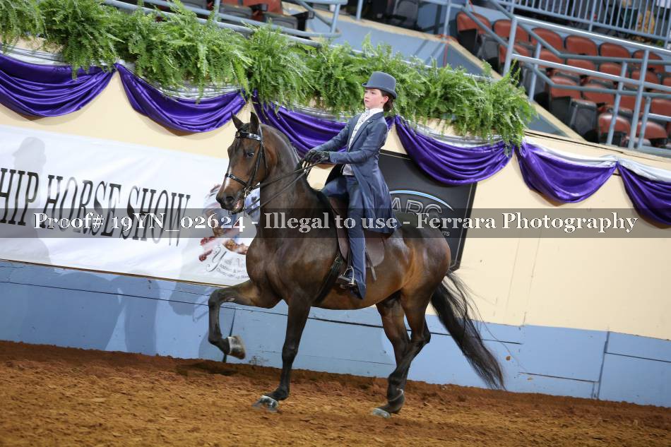 Proof 19YN_02624