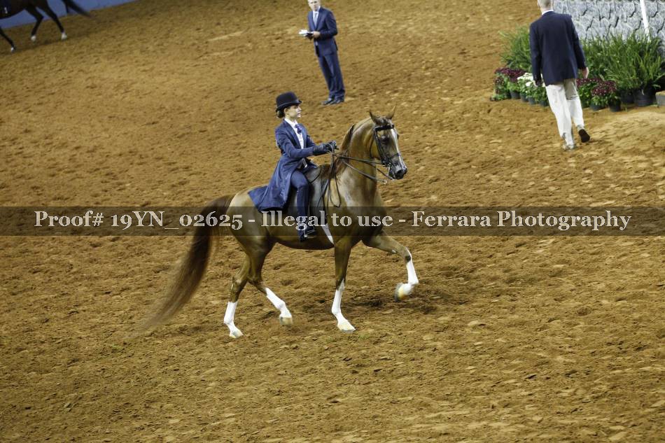 Proof 19YN_02625