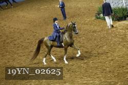 19YN_02625 proof