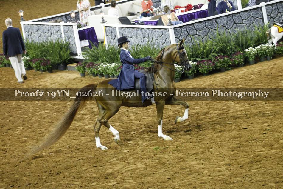 Proof 19YN_02626