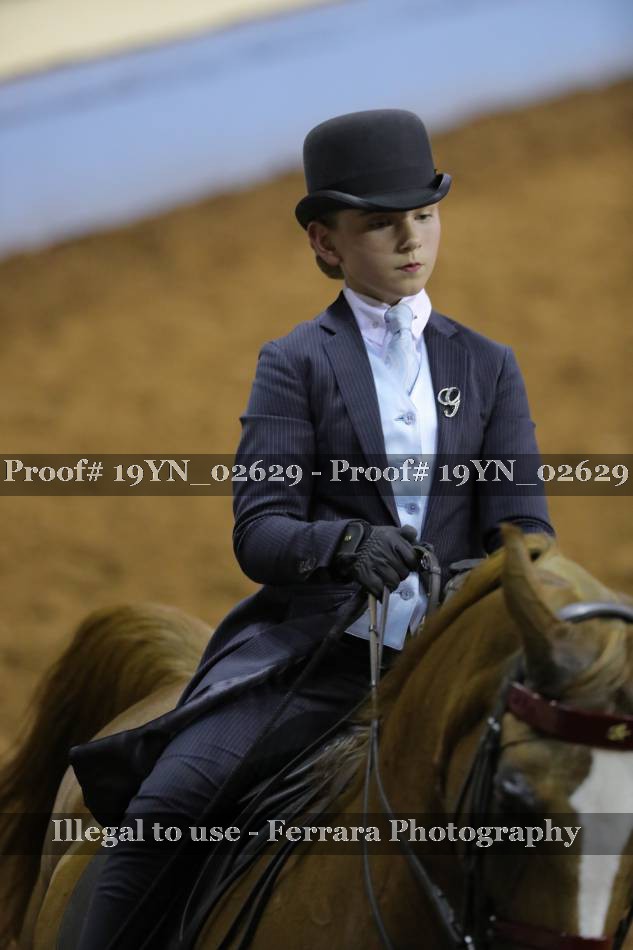 Proof 19YN_02629