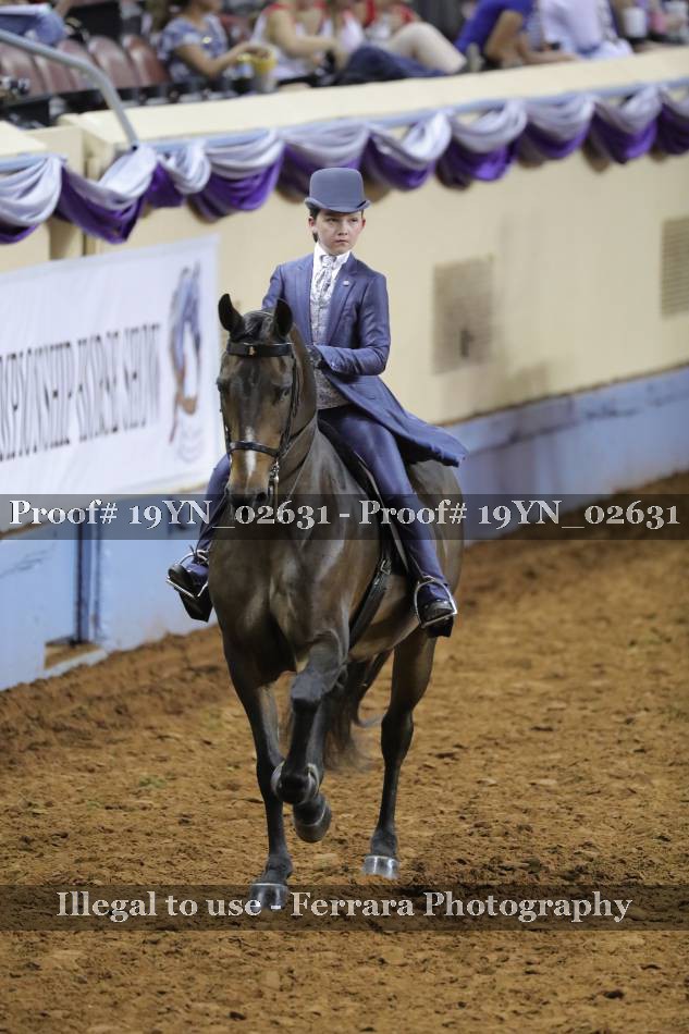 Proof 19YN_02631