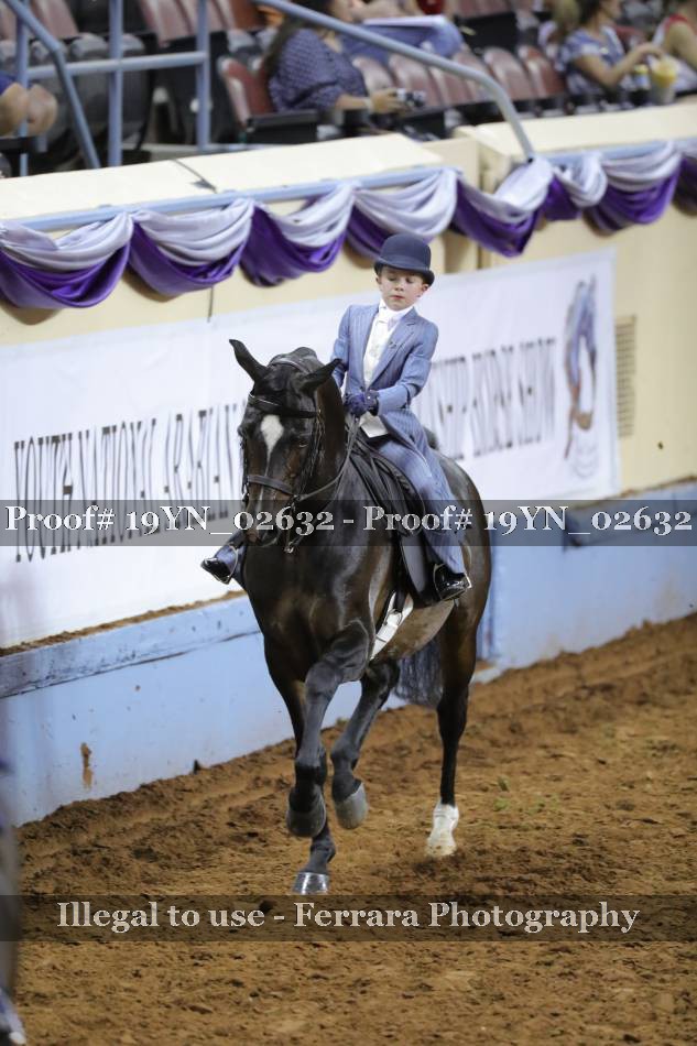 Proof 19YN_02632