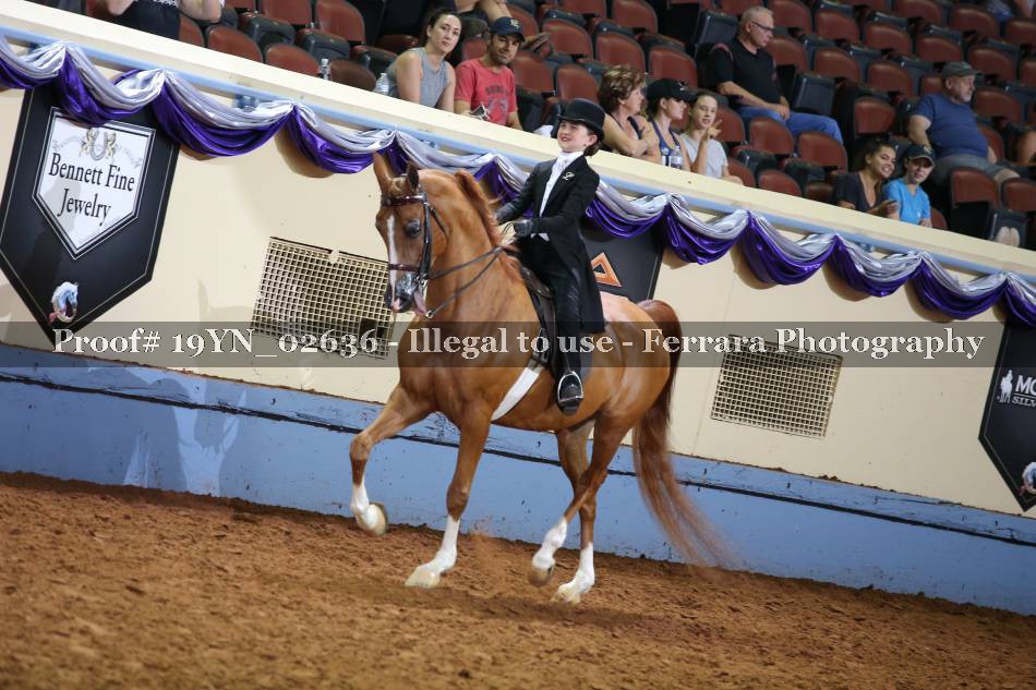 Proof 19YN_02636
