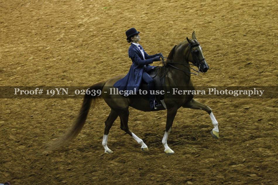 Proof 19YN_02639