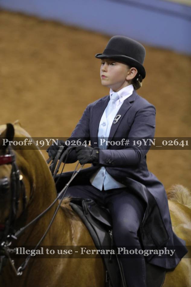 Proof 19YN_02641