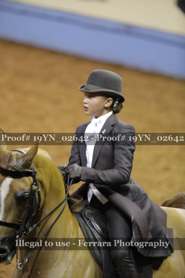 Proof 19YN_02642