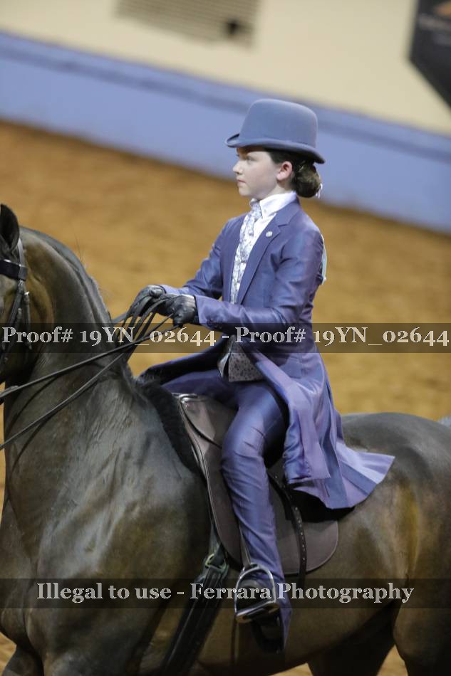 Proof 19YN_02644