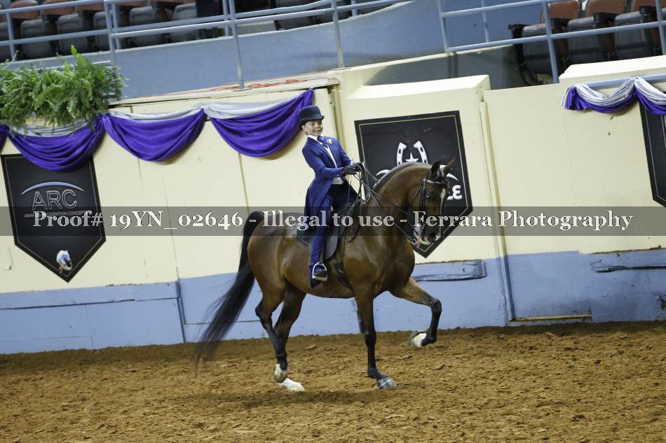 Proof 19YN_02646