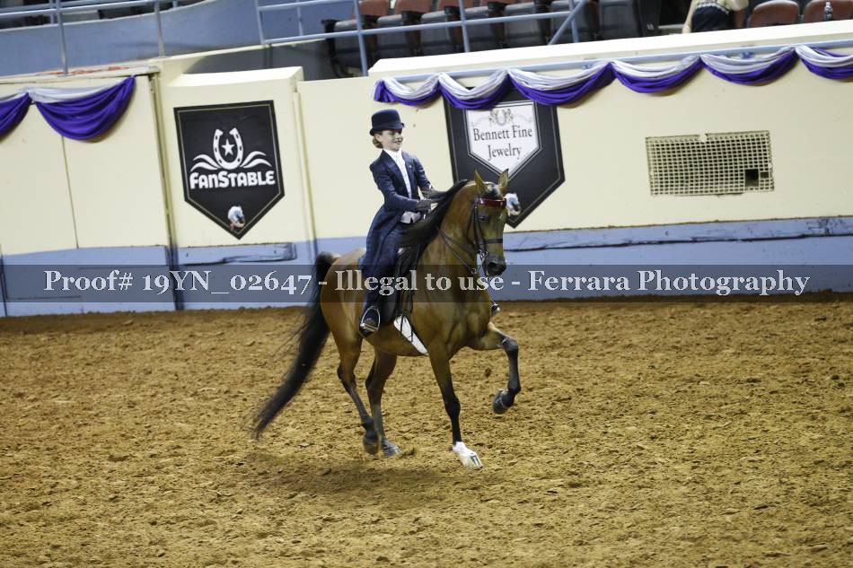 Proof 19YN_02647