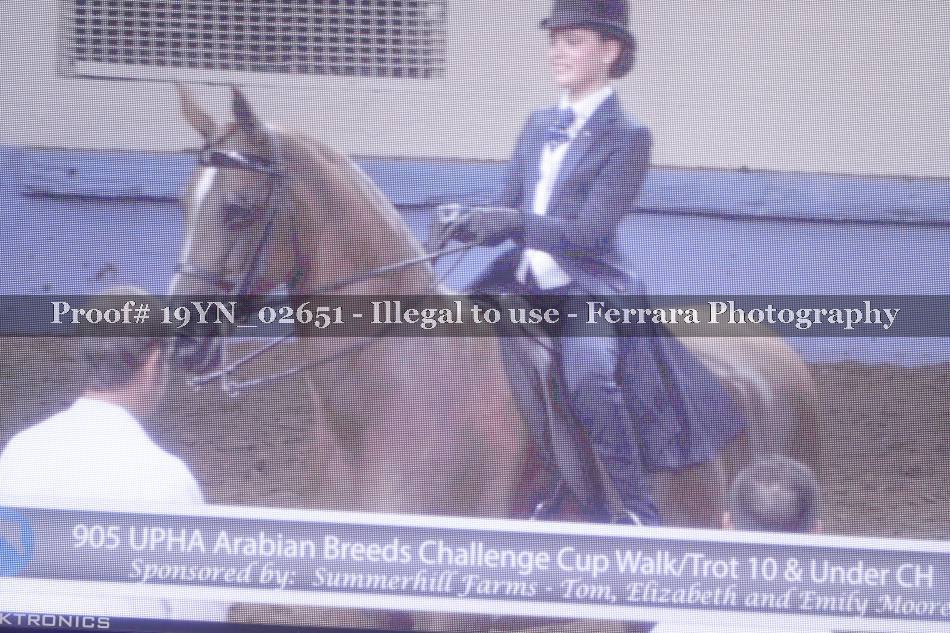 Proof 19YN_02651