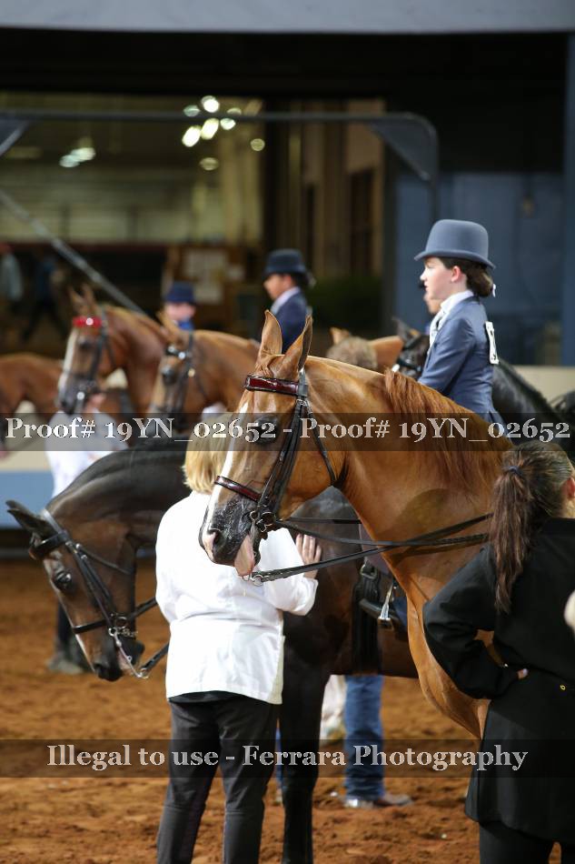 Proof 19YN_02652