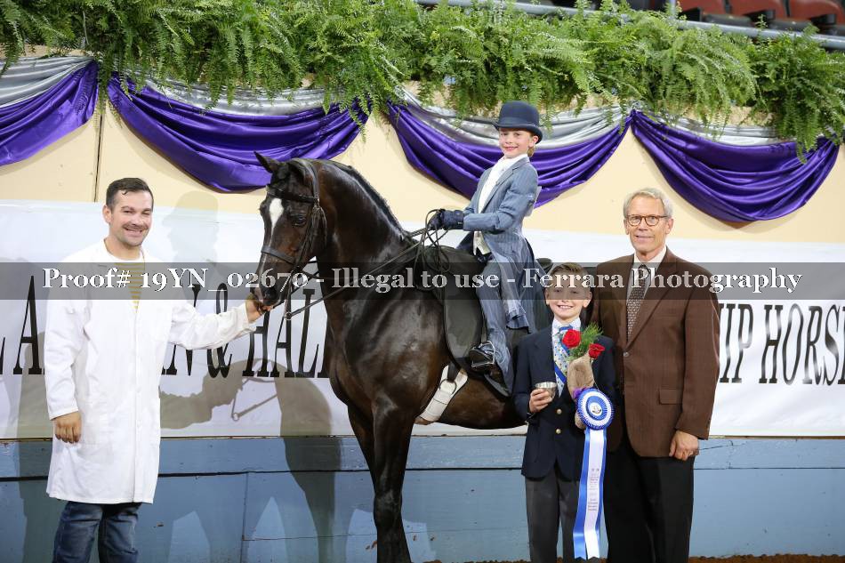 Proof 19YN_02670