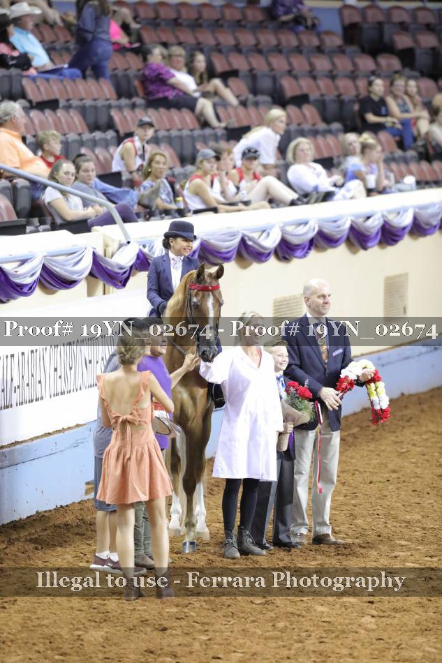 Proof 19YN_02674