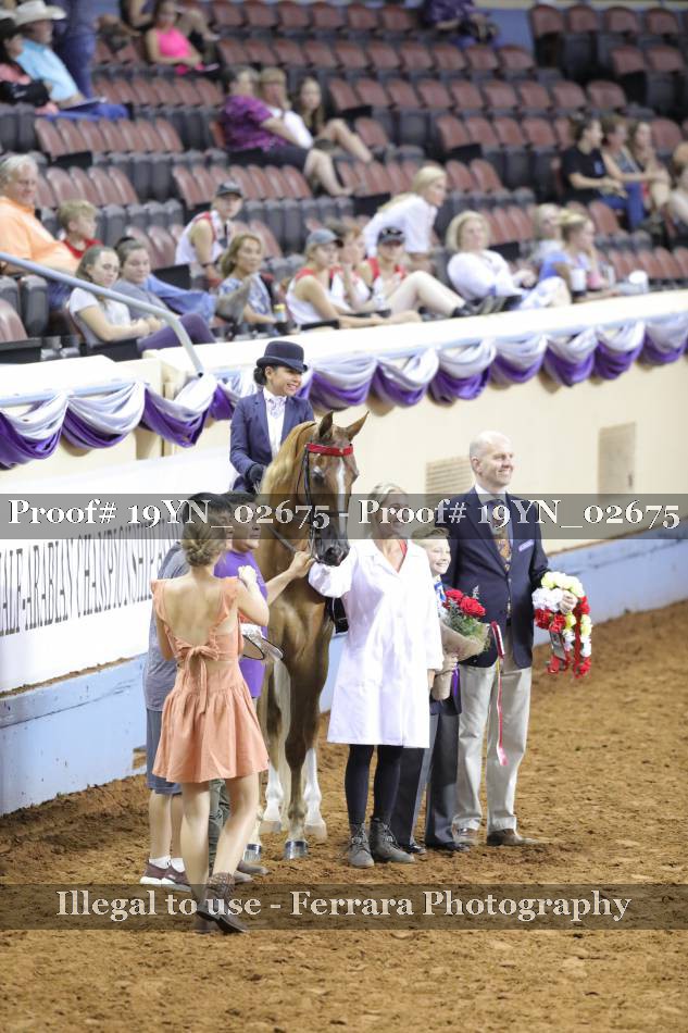 Proof 19YN_02675