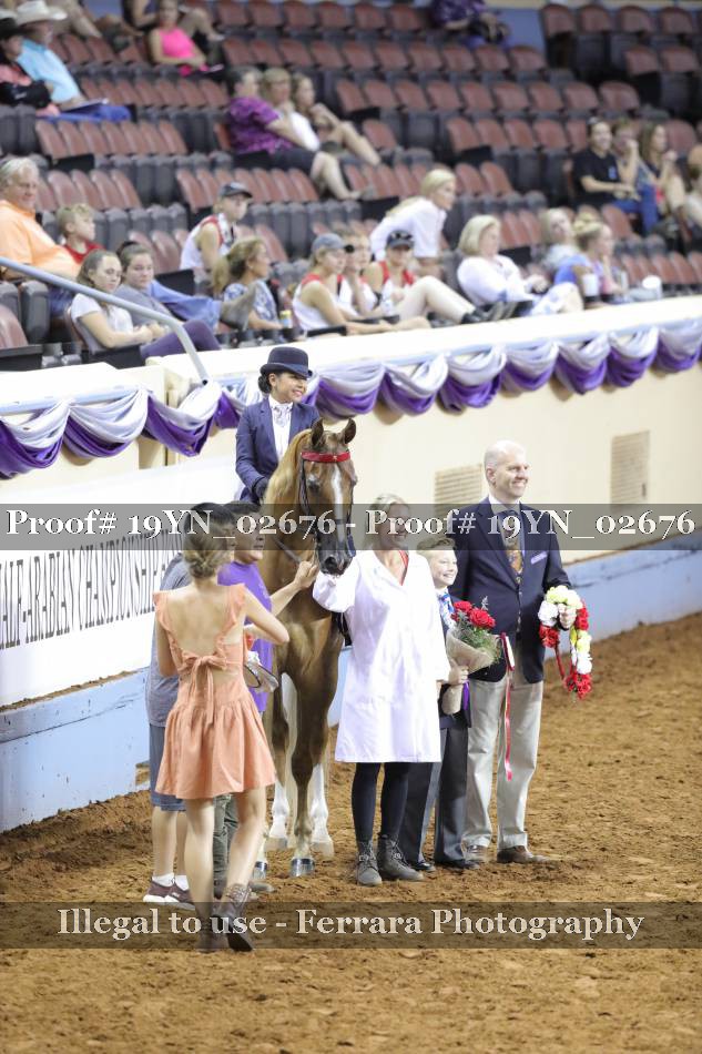 Proof 19YN_02676