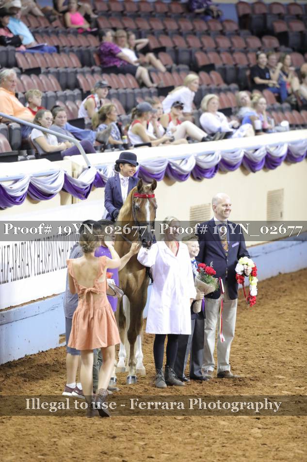 Proof 19YN_02677