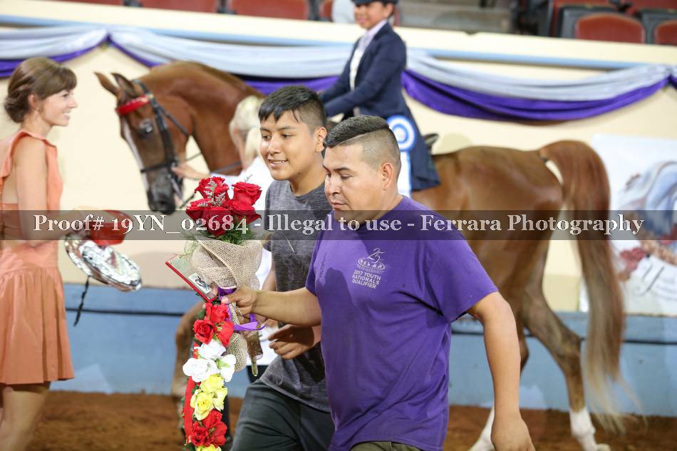 Proof 19YN_02684