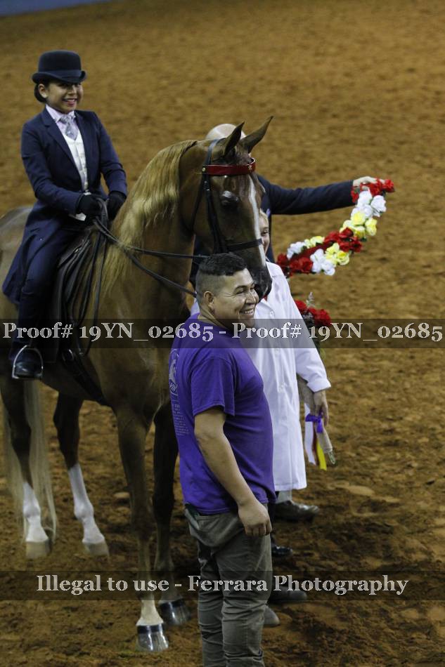 Proof 19YN_02685