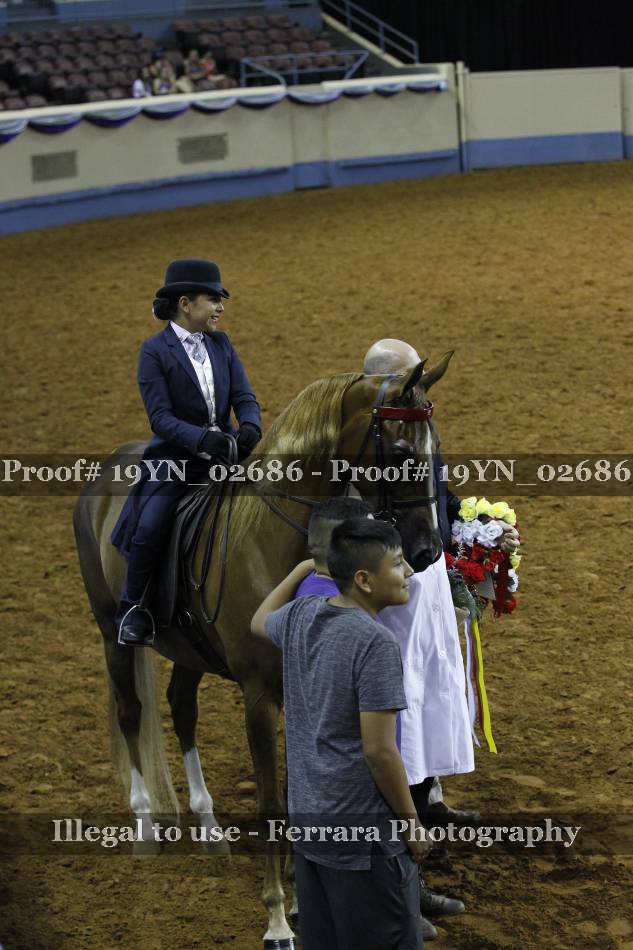 Proof 19YN_02686