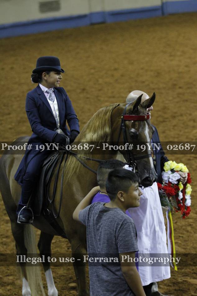 Proof 19YN_02687