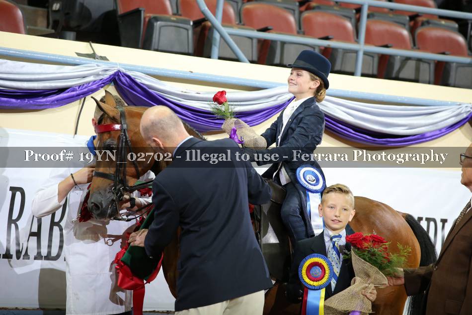 Proof 19YN_02702