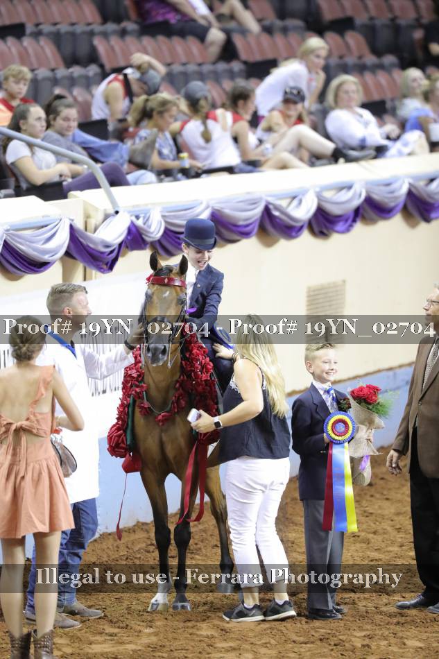 Proof 19YN_02704