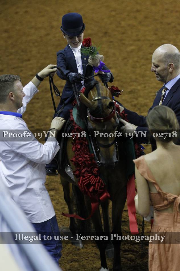 Proof 19YN_02718