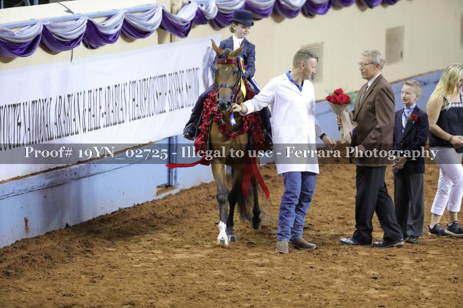 Proof 19YN_02725