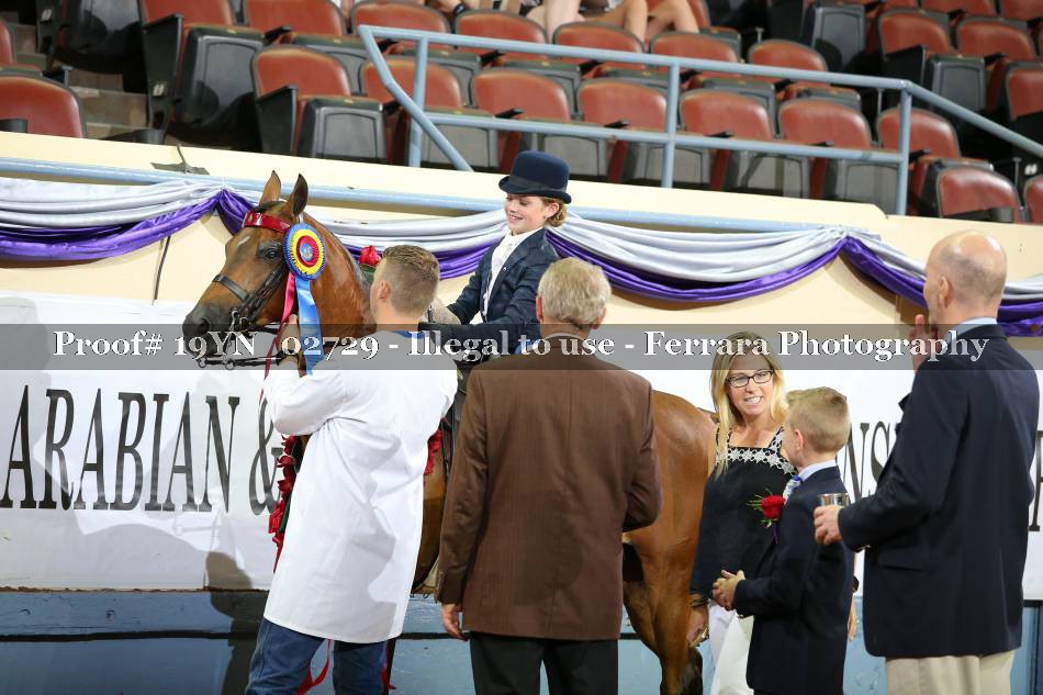 Proof 19YN_02729