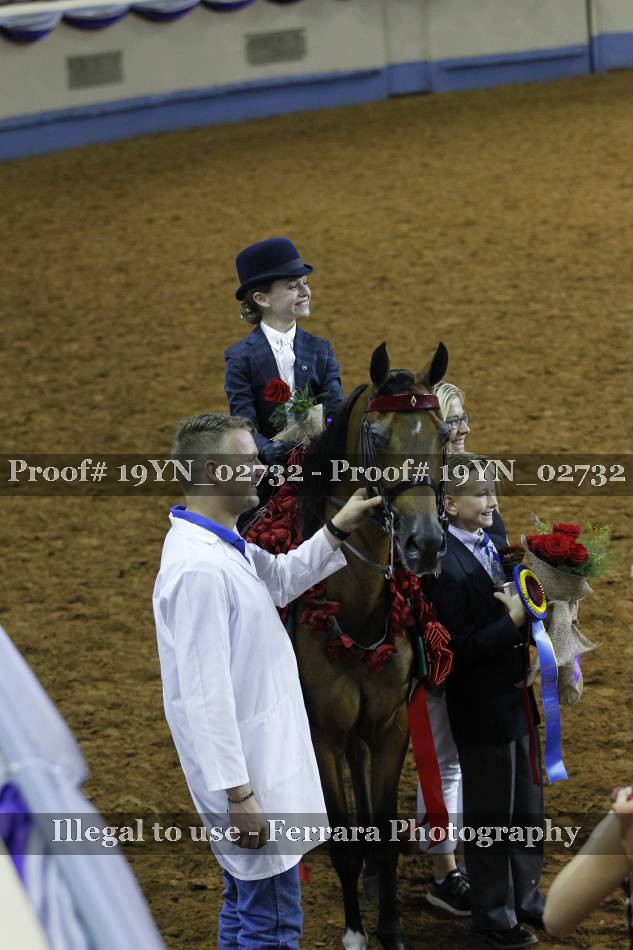 Proof 19YN_02732
