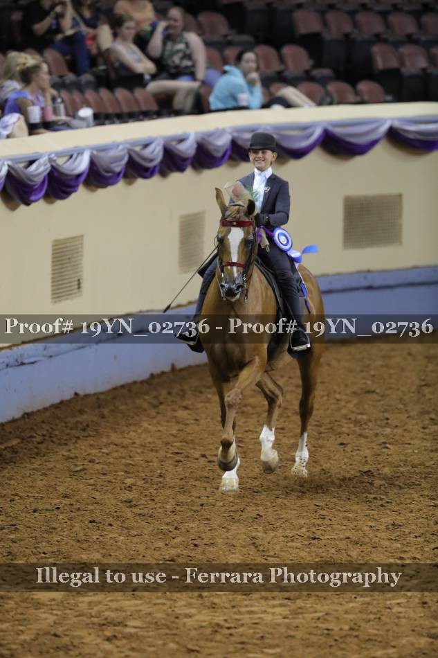 Proof 19YN_02736