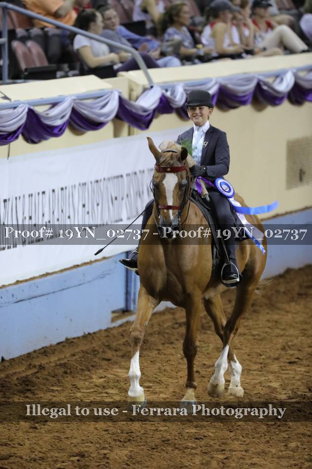 Proof 19YN_02737