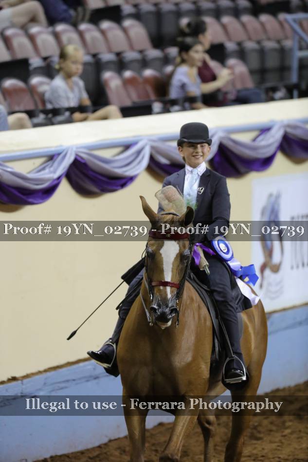 Proof 19YN_02739