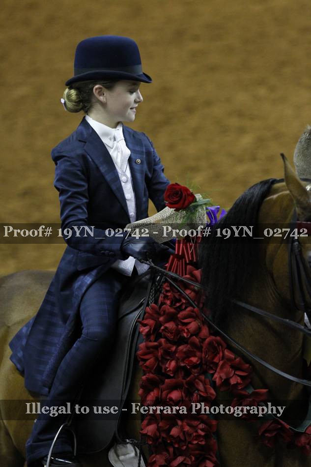 Proof 19YN_02742