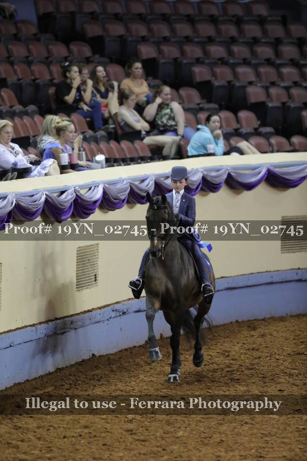 Proof 19YN_02745