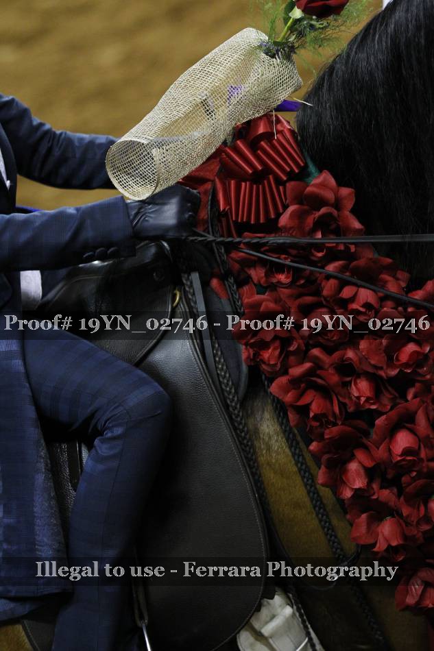 Proof 19YN_02746
