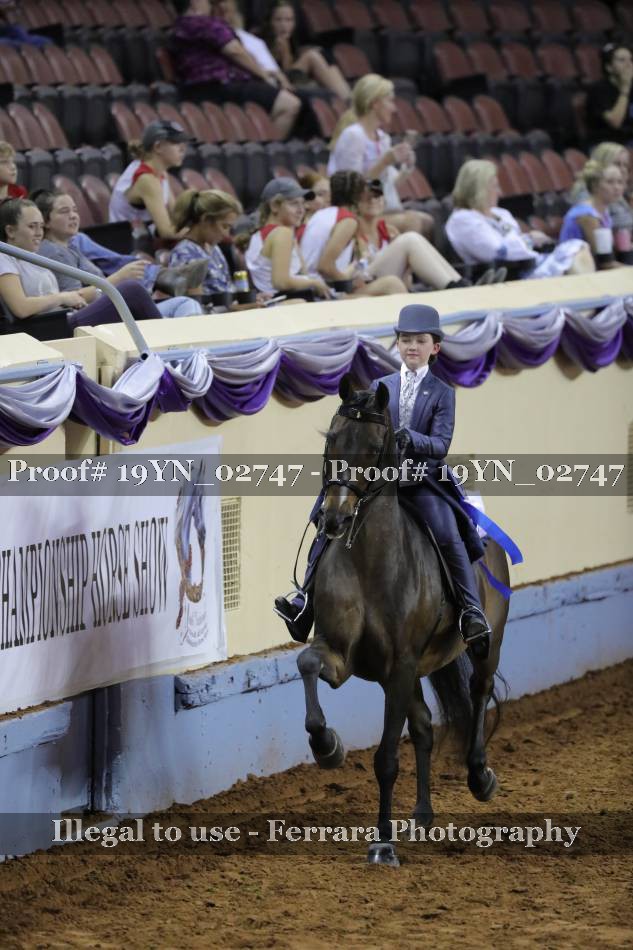 Proof 19YN_02747