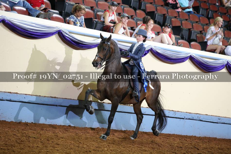 Proof 19YN_02751