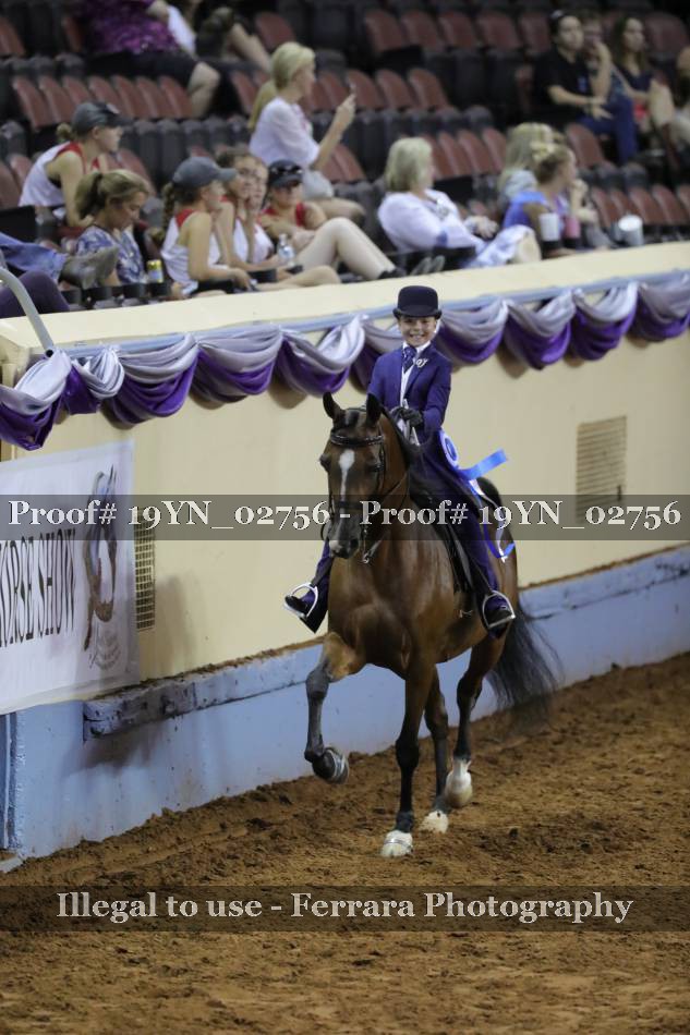 Proof 19YN_02756