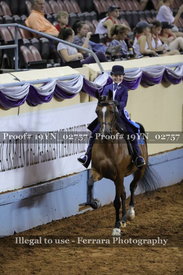 Proof 19YN_02757