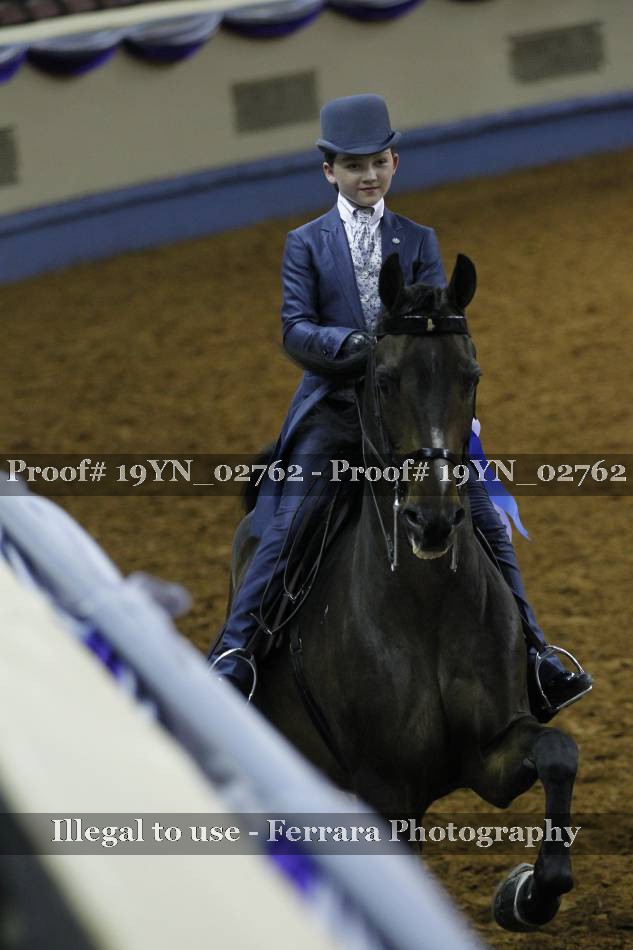 Proof 19YN_02762