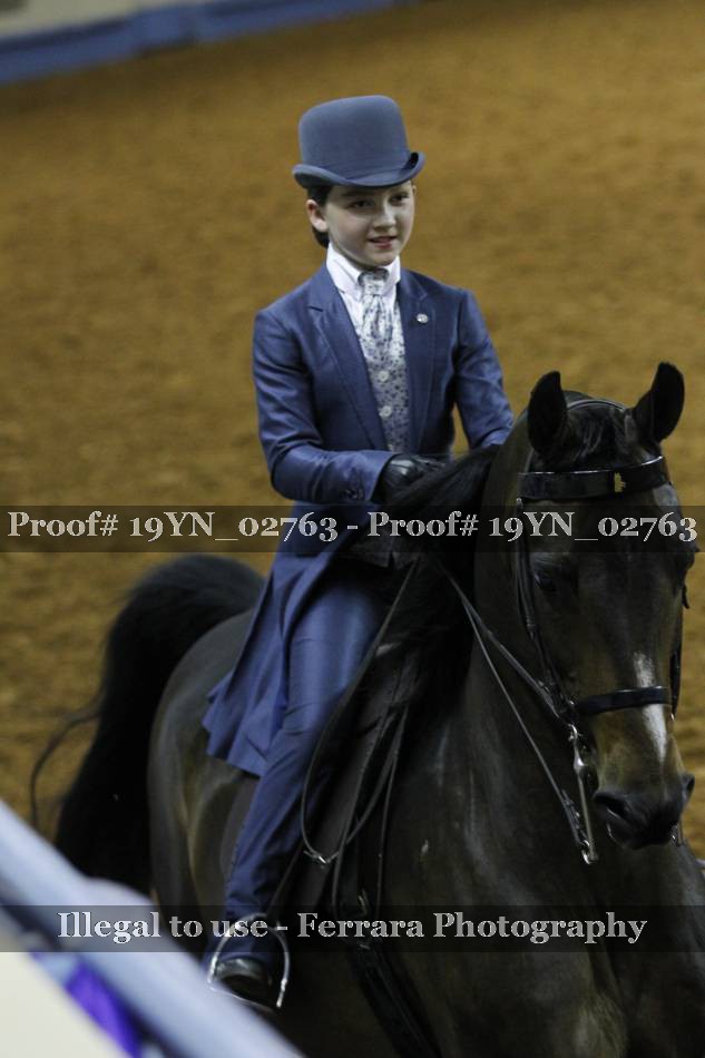 Proof 19YN_02763