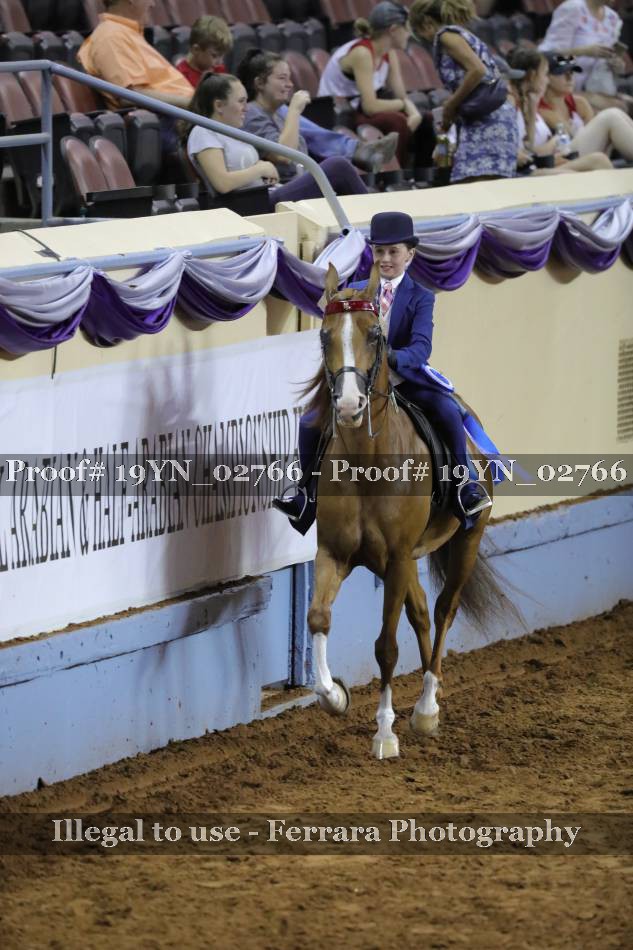 Proof 19YN_02766