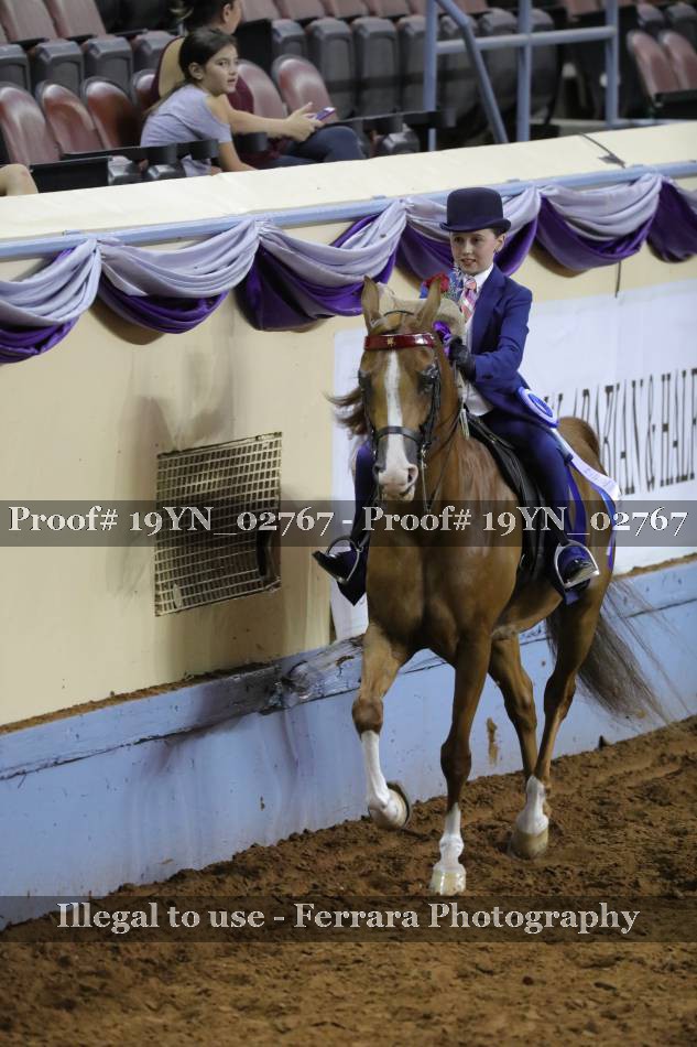 Proof 19YN_02767